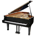 Клавишные инструменты - пианино и рояли